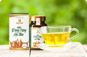 Đông trùng hạ thảo hector sấy thăng hoa