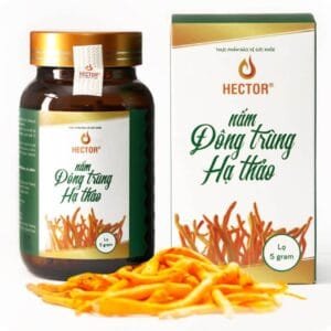 Đông trùng hạ thảo hector sấy thăng hoa