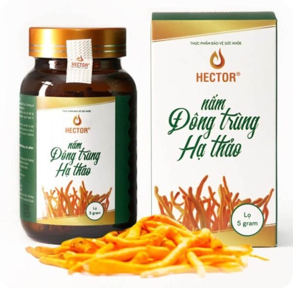 Đông trùng hạ thảo hector sấy thăng hoa