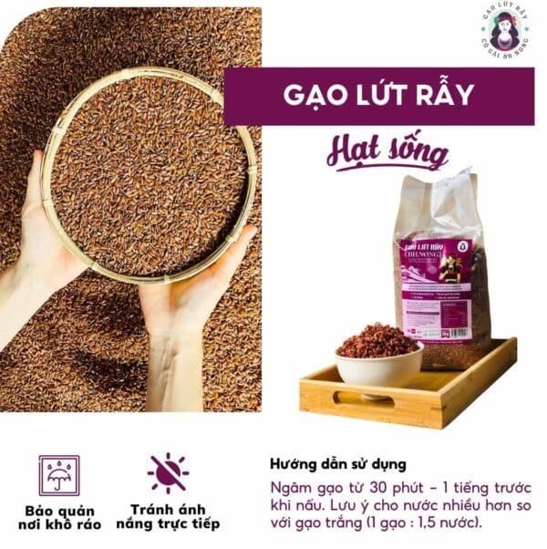Gạo Lứt Rẫy BH.NONG