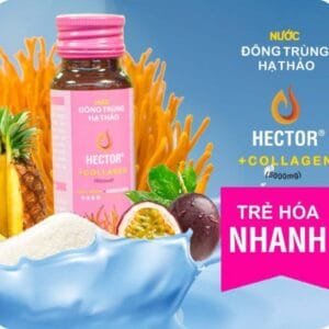 Nước Đông trùng hạ thảo Hector collagen