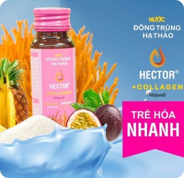 Nước Đông trùng hạ thảo Hector collagen
