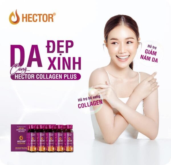 Nước đông trùng hạ thảo Hector Collagen Plus - Hình ảnh 2