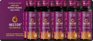 Nước đông trùng hạ thảo Hector Collagen Plus