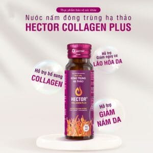 Nước đông trùng hạ thảo hector collagen plus