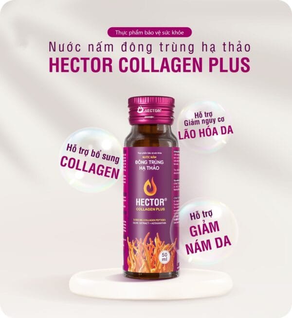 Nước đông trùng hạ thảo hector collagen plus