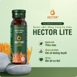 Nước đông trùng hạ thảo Hector Lite