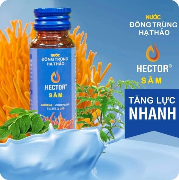 Nước uống đông trùng hạ thảo Hector sâm