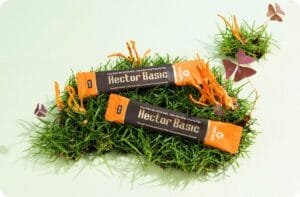 Nước nấm đông trùng hạ thảo Hector Basic dạng gói