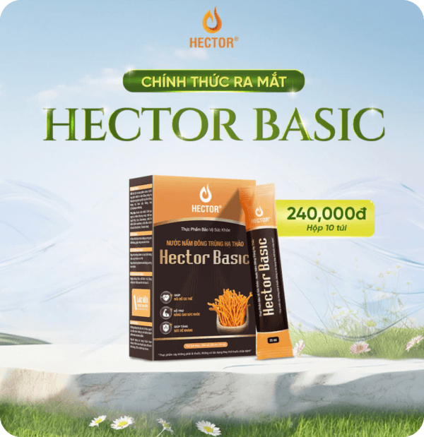 Nước nấm đông trùng hạ thảo Hector Basic
