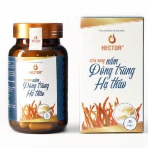 Viên nang đông trùng hạ thảo Hector