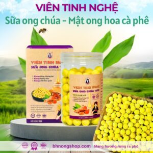 Viên Tinh Nghệ Sữa Ong Chúa BH.NONG thủ công 200g - mật ong hoa cà phê và sữa ong chúa tươi